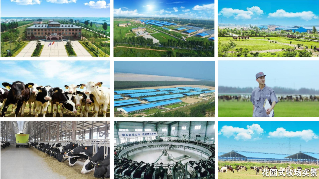 快訊 | 河南省召開培育奶業重點縣推進奶源基地建設工作座談會 快訊 | 河南省召開培育奶業重點縣推進奶源基地建設工作座談會