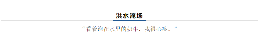 【乳報·聚焦】“豫”難而上的中原牛人“太中了”! 【乳報·聚焦】“豫”難而上的中原牛人“太中了”!