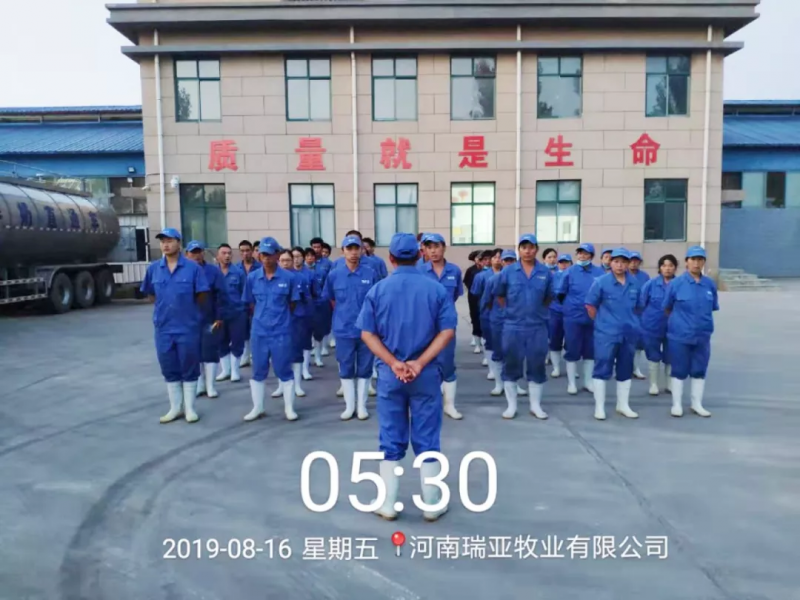 小晨會·大能量——砥礪奮進(jìn)的花花牛，加油！